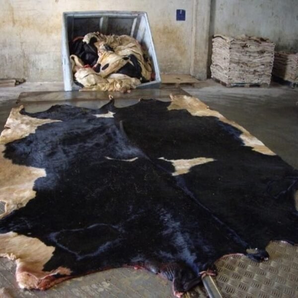 Wet Salted Cow / Donkey Hides